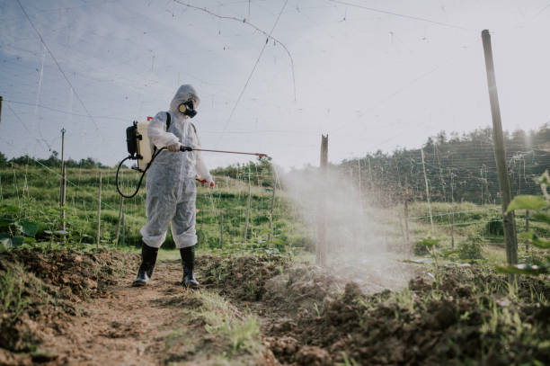 Best Pest Prevention Services  in Sagamore, MA