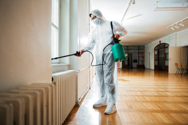 Professional Pest Control in Sagamore, MA